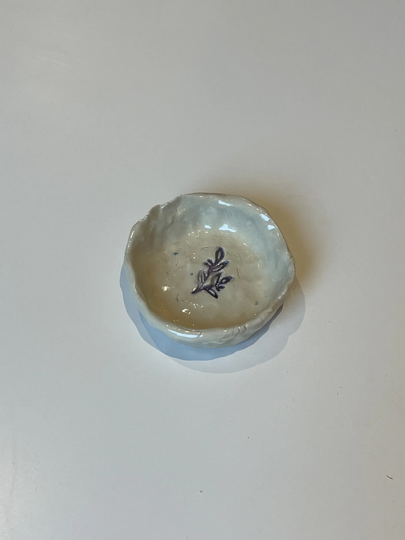 Small botanical bowl made by an SAH guest in 2026